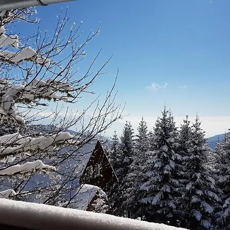 Komfortable Almhutte Direkt Im Skigebiet Tatil Evi *