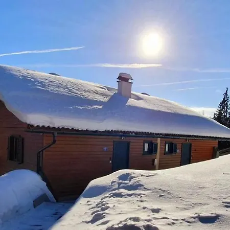 Komfortable Almhutte Direkt Im Skigebiet Klippitztorl
